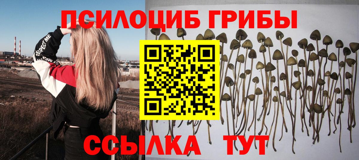 Карабулак  Галлюциногенные грибы GOLDEN TEACHER  Вход с VPN 