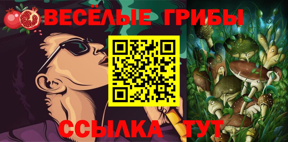 Галлюциногенные грибы Cubensis Карабулак